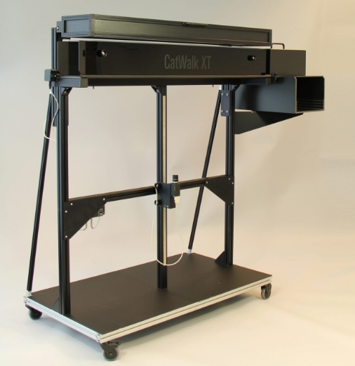 智能康復(fù)評估的新利器：步態(tài)分析系統(tǒng)在運(yùn)動康復(fù)中的應(yīng)用與進(jìn)展