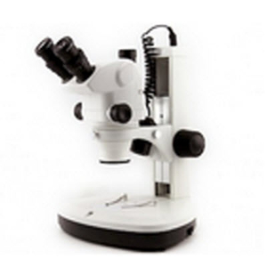 三目連續(xù)變倍體視顯微鏡 VMS300A