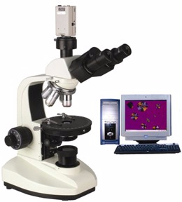 電腦型偏光顯微鏡 XP-203C
