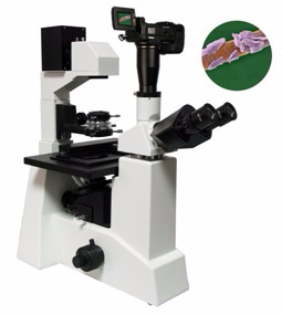 數(shù)碼型生物顯微鏡 XSP-20CD