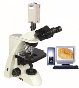 電腦型生物顯微鏡 XSP-10CC