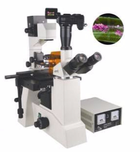 數(shù)碼型熒光顯微鏡 TXM-550D