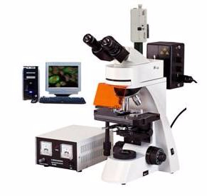 電腦型熒光顯微鏡 TXM-400C