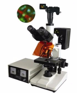 數(shù)碼型熒光顯微鏡 TXM-200D
