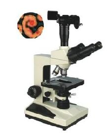 數(shù)碼型相襯顯微鏡 TXC-200D
