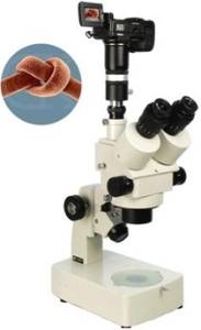 數(shù)碼型體視顯微鏡 XTL-300D