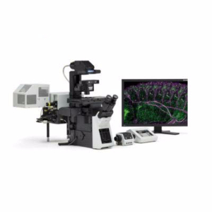 激光掃描共聚焦顯微鏡 FV1200