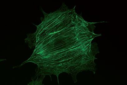 DMIL 結(jié)構(gòu)緊湊穩(wěn)定.jpg