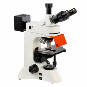 熒光顯微鏡 LW300LFT（LED）