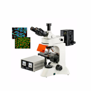 無(wú)限遠(yuǎn)落射熒光顯微鏡 YZF-60
