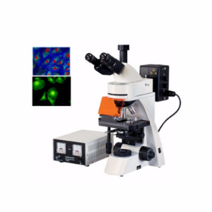 正置熒光顯微鏡 YZF-40