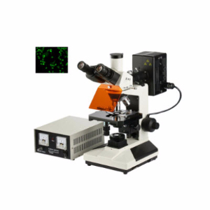落射熒光顯微鏡 YZF-20