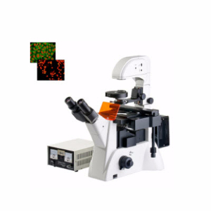 研究型倒置熒光顯微鏡 YDF-90