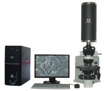 邁朗高倍智能變焦數(shù)碼顯微分析儀 sj-TMDI-810