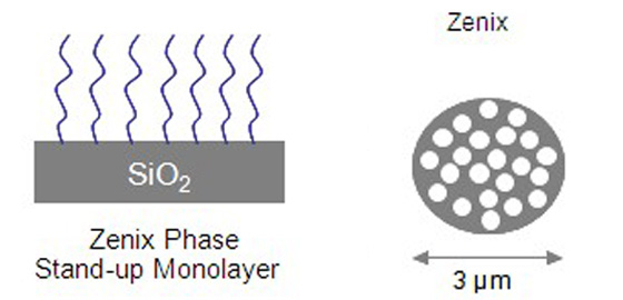 SEC色譜柱     Zenix