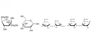 蜂蜜專用柱   Hon-Sugar