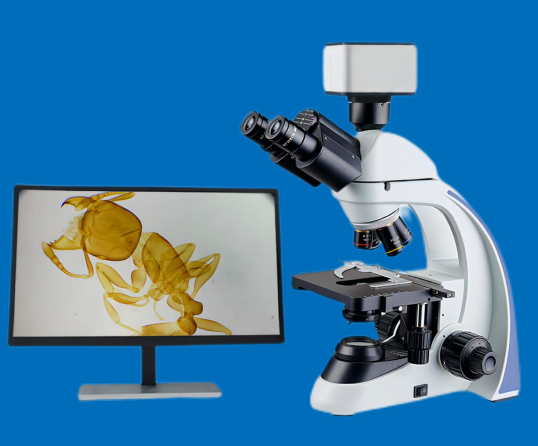 數(shù)碼生物顯微鏡