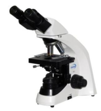 彼 高級(jí)透反射顯微鏡 BM-SG12BD(明暗場(chǎng))