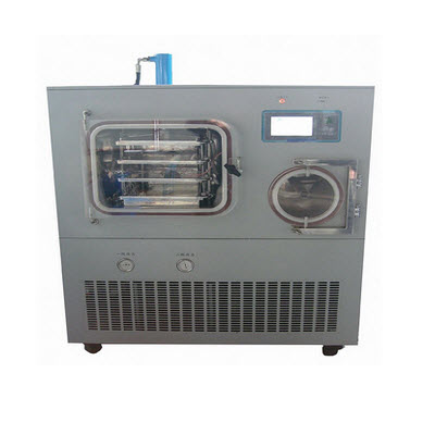 原位凍干機(jī)(硅油加熱)普通型 YB-FD-100L