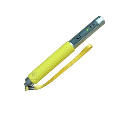 筆式可燃?xì)怏w探測(cè)器 BX169