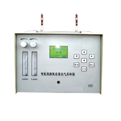 雙路空氣采樣器  YTY-TWA-300N