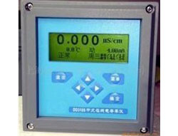 中文在線電導(dǎo)率儀 DDG-3115型