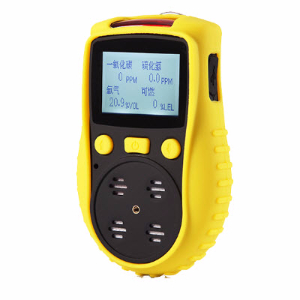 擴(kuò)散式氧氣檢測(cè)儀 YT-1200H-S