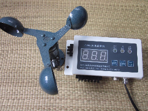 風(fēng)速報(bào)警儀 DA2000J