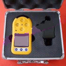 便攜式臭氧測(cè)定儀 NJ8H-O3