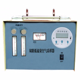 雙路低流量空氣采樣器 YTY-TWA-300S