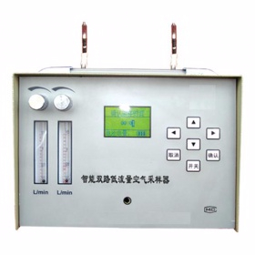 智能雙路低流量空氣采樣器 YTY-TWA-300N