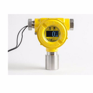 現(xiàn)場顯示可燃氣體檢測儀 Anr