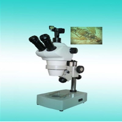 立體顯微鏡 YYL-580