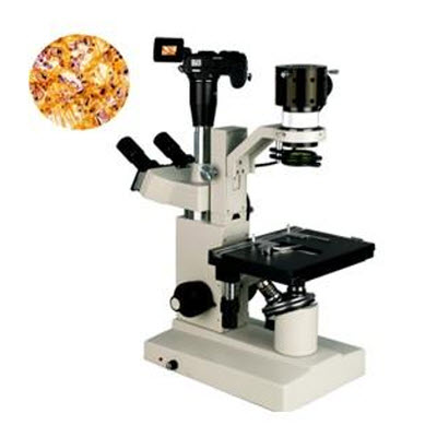 數(shù)碼型生物顯微鏡 XSP-15CD