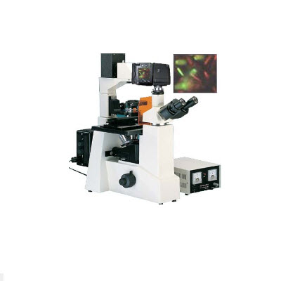 倒置熒光顯微鏡  CG-XDS-500C