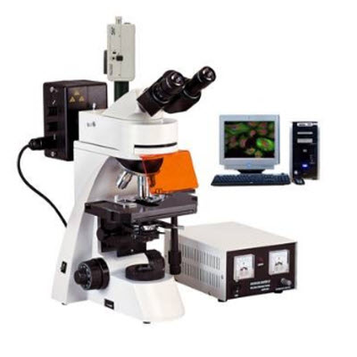 四波段無限遠熒光顯微鏡 BFM-660