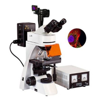 研究型熒光顯微鏡 BFM-600