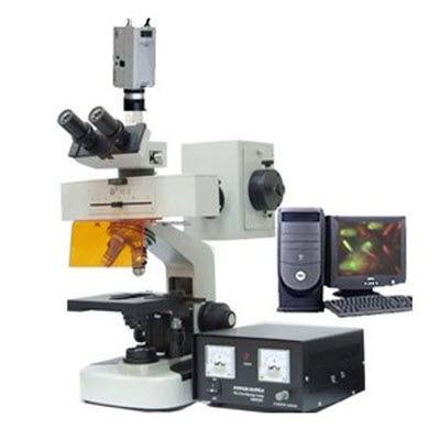 普通型熒光顯微鏡 BFM-100