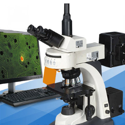 落射熒光顯微鏡 XSP-63B