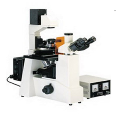 熒光顯微鏡 XSP-63XD