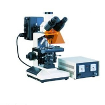 熒光顯微鏡  HAD-F150