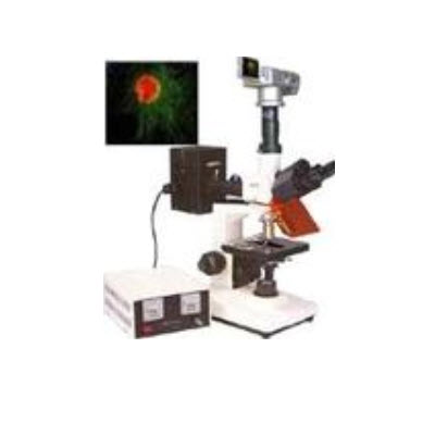 熒光顯微鏡   HAD-DFM-30D