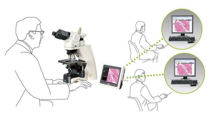 ci病理學(xué)通過網(wǎng)絡(luò)數(shù)字化