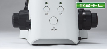 Ts2新的簡化操作