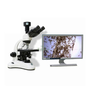 生物顯微鏡 SGO-PH50
