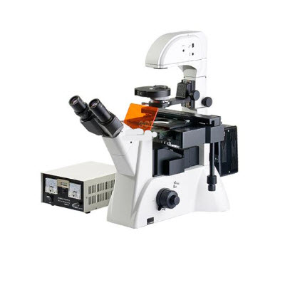 熒光顯微鏡 SGO-YG2