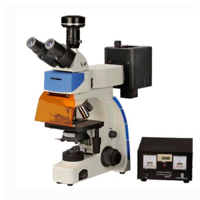 研究型熒光顯微鏡 FM-30