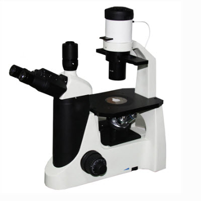 倒置熒光顯微鏡  DM-10