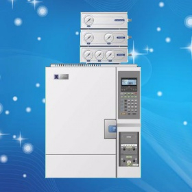 氣相色譜儀 GC1650E