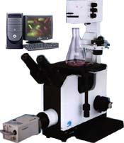 電腦型倒置顯微鏡 XDS-220C